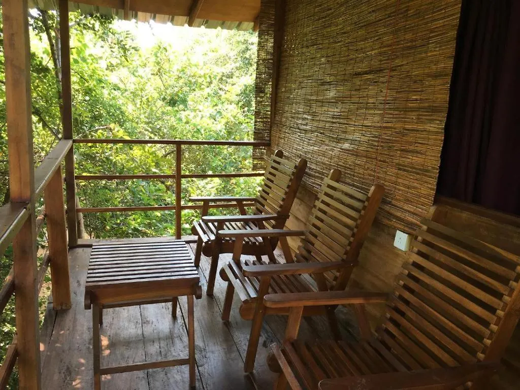 The Inn On The Tree Sigiriya Lodge