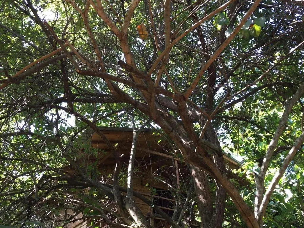 The Inn On The Tree Sigiriya