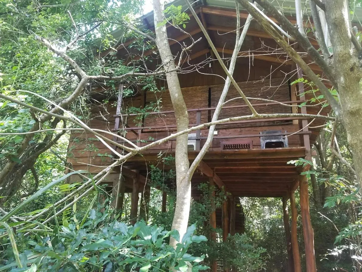 Lodge The Inn On The Tree Sigiriya