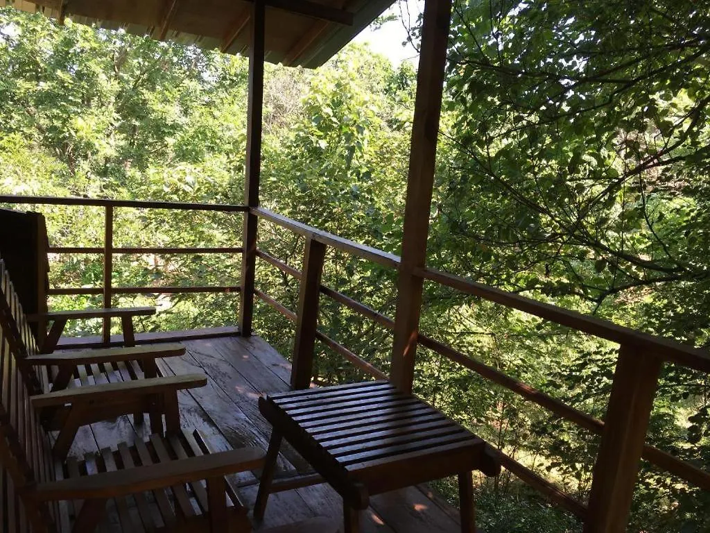 Lodge The Inn On The Tree Sigiriya Sri Lanka