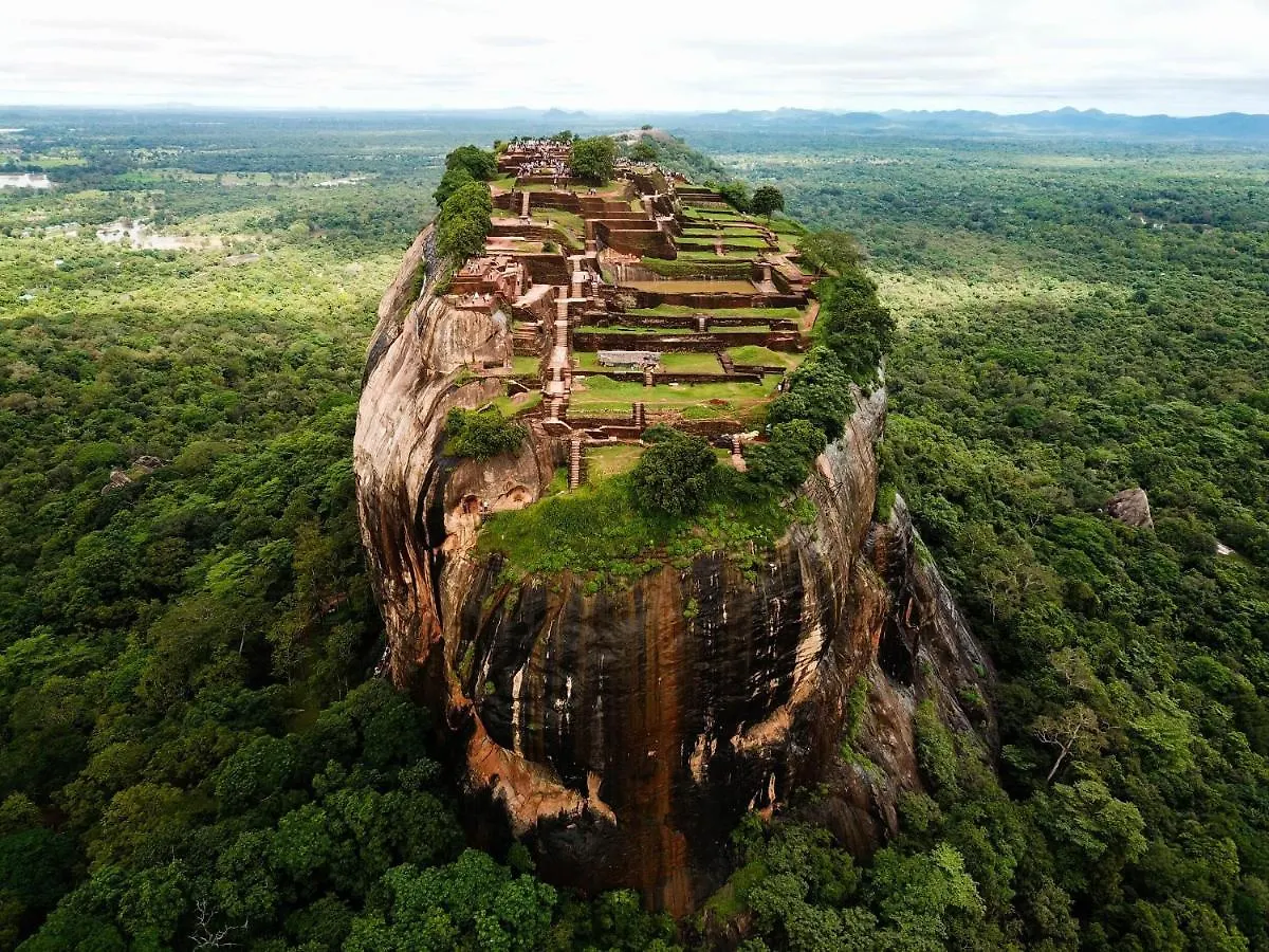 Lodge The Inn On The Tree Sigiriya
