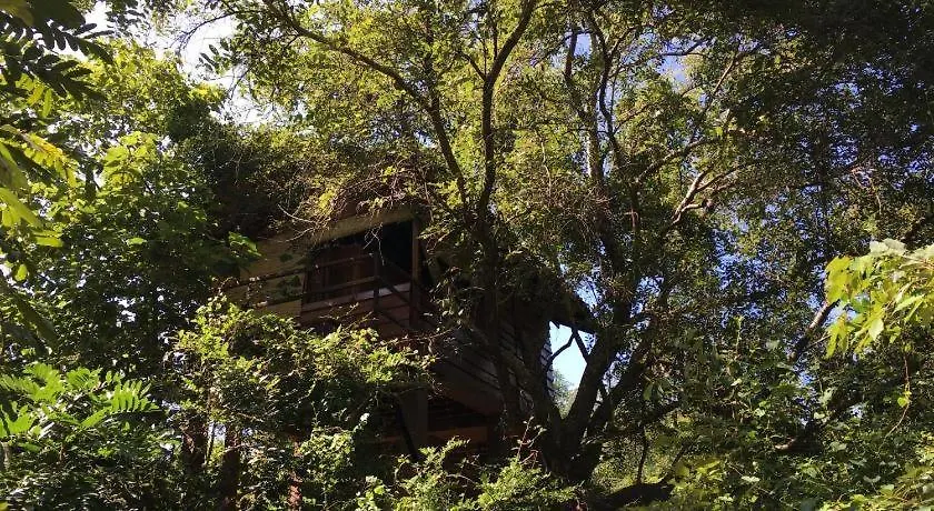 The Inn On The Tree Sigiriya Sri Lanka
