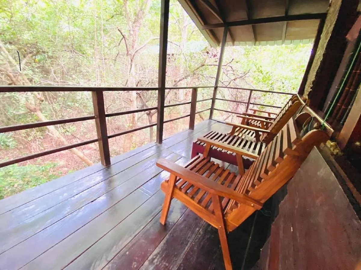Lodge The Inn On The Tree Sigiriya