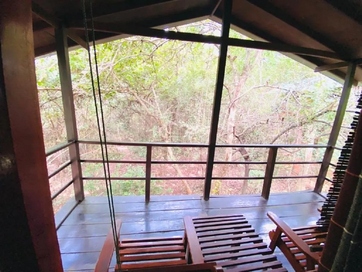 The Inn On The Tree Sigiriya Sri Lanka