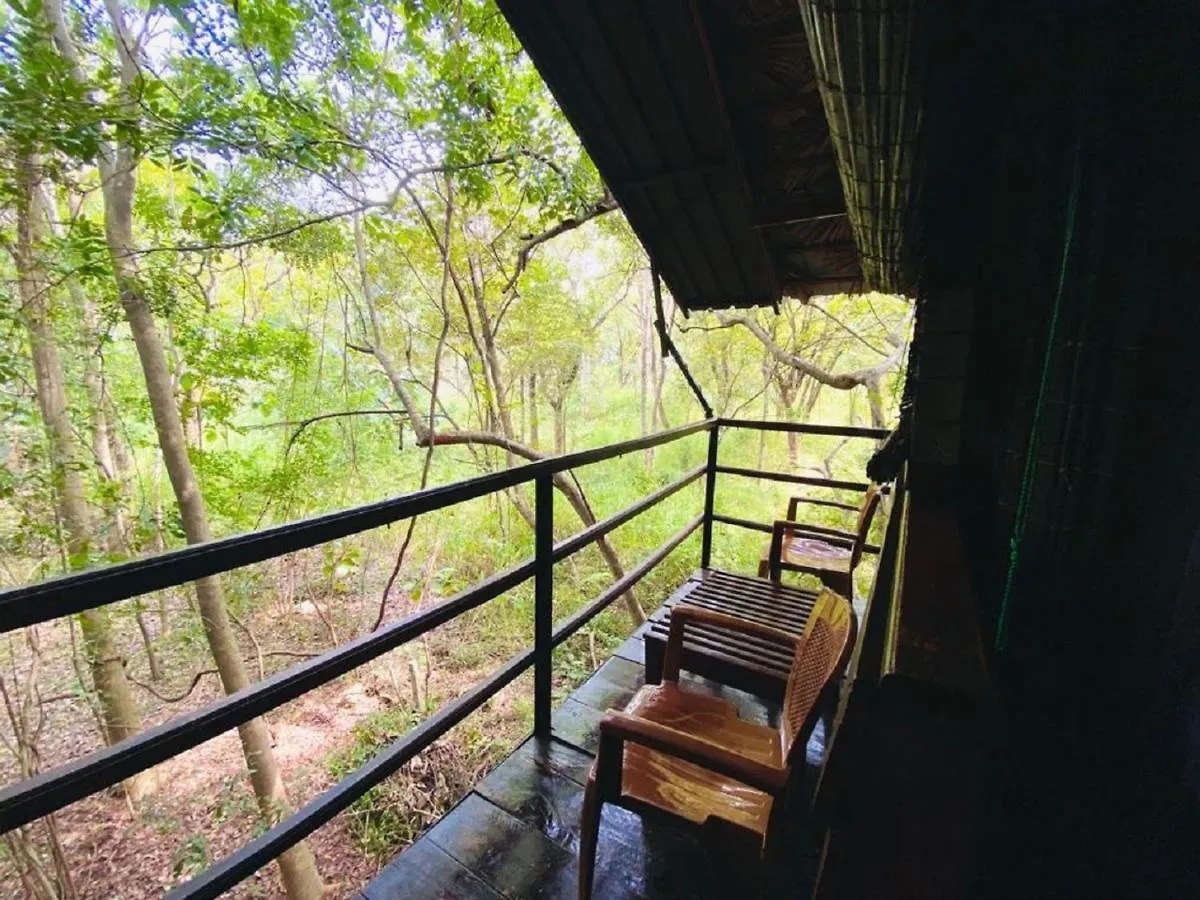 The Inn On The Tree Sigiriya Lodge