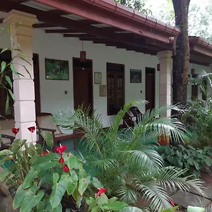 Sigiri Jungle Sigiriya
