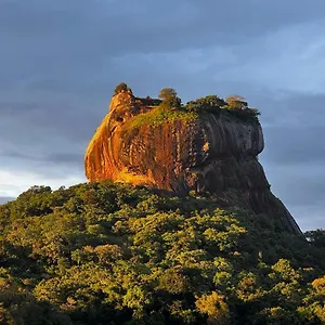 Mango Sigiriya