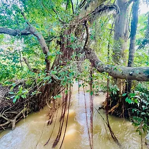 River Side Sigiriya