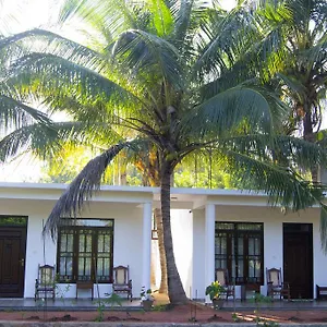 Shady Mango Sigiriya
