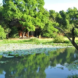 Back Of Beyond - Wild Haven Sigiriya